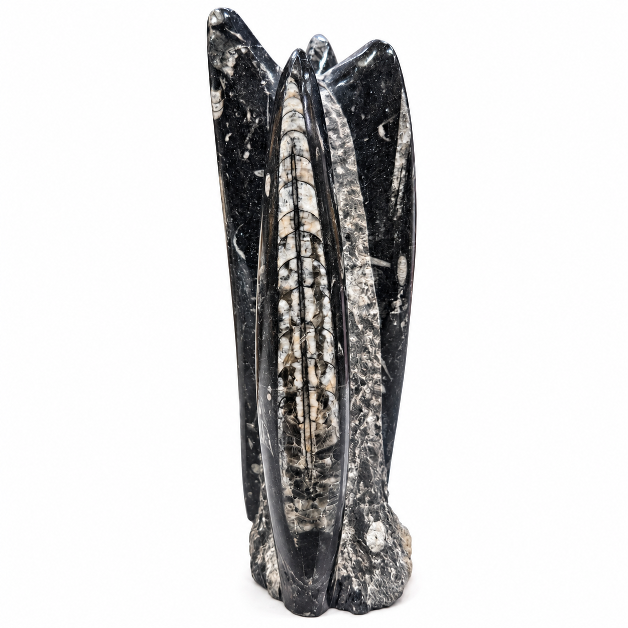 Original Kuber Stone Tower – Natural Orthoceras Fossil Stone for Spiritual Décor, Home Temple & Office Display - Image 2